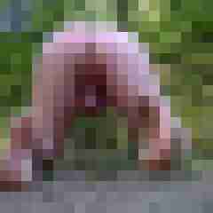 ShavedOlli