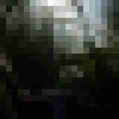 ruttish