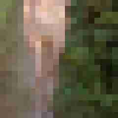 Frederike-Frodo