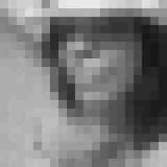 Eule_41