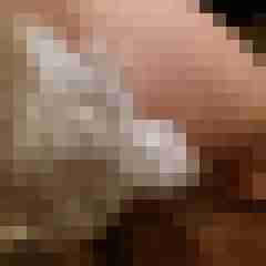 michael2904
