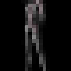 Mond84