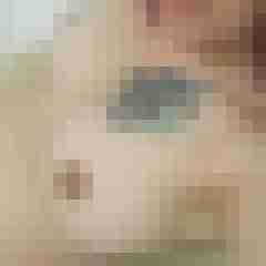 Eule_41