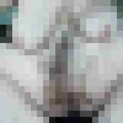 Mistbiene