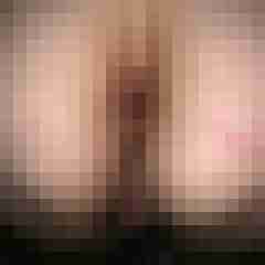 Bbw-Stute