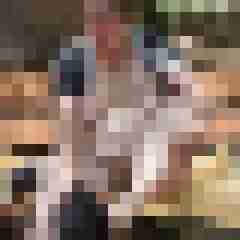 Toddel