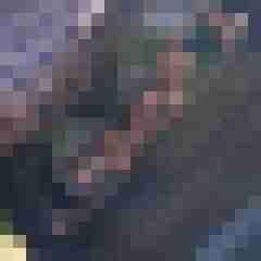 Eroly