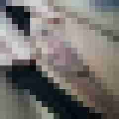 Mistbiene