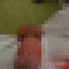 JamesCock7419