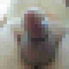 exib1