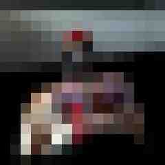 picturefreak