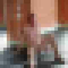 andy14