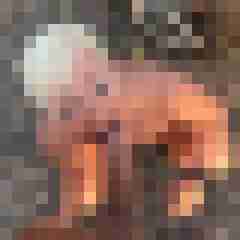 ersie6569