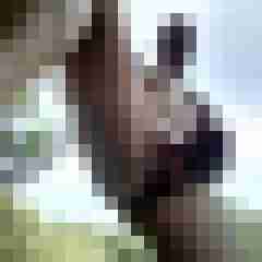 Bimannn