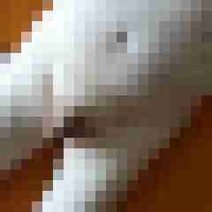 squirting50