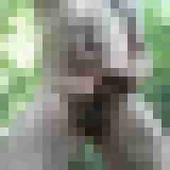 exib1
