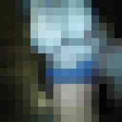 Mistbiene