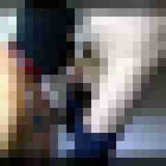 picturefreak