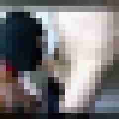 picturefreak