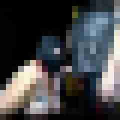 picturefreak