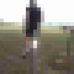 franzie01