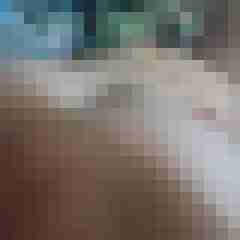 Knopf_NRW