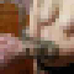 Weltreisender