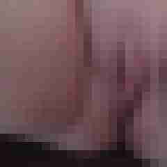DavidXXX