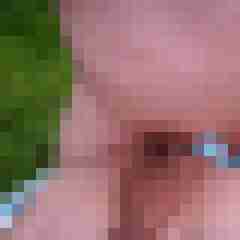 robertbilive