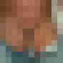 ressip53