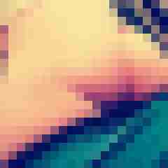 colalight31