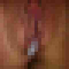 xspitz