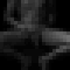 Mond84