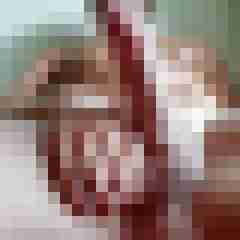 Pigtom