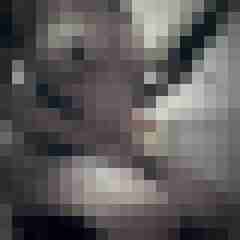 Eule_41