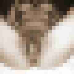 10 Bilder von imsi