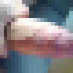 RapT