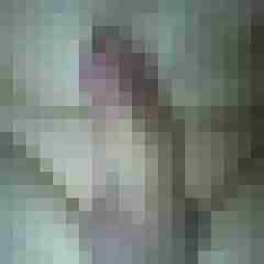 exib1