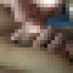 AOficklust