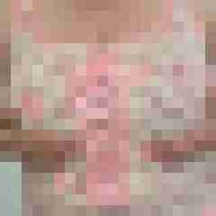 ChromosomXXL