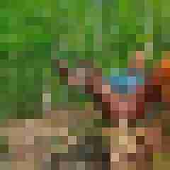 Haumphrey