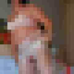 Haumphrey