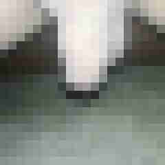 geilerboy09