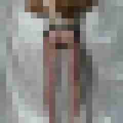 White-Sin