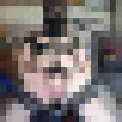 scarett