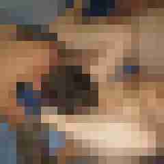 ramm000
