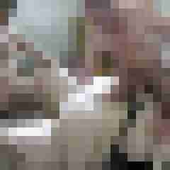 picturefreak