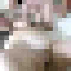 picturefreak