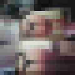 hornyxsar