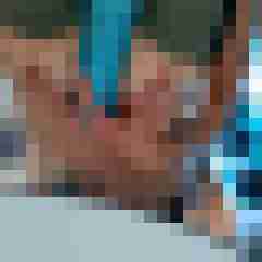 DomDev8180